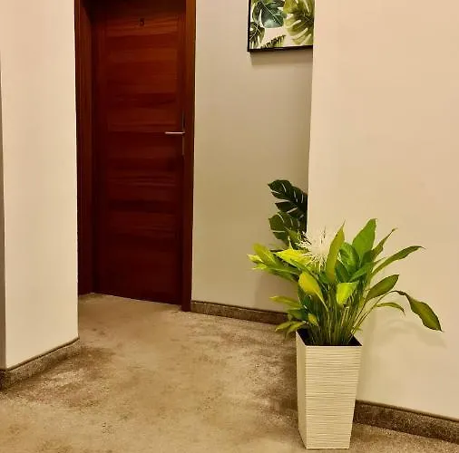 Moderna Rest קטוביץ